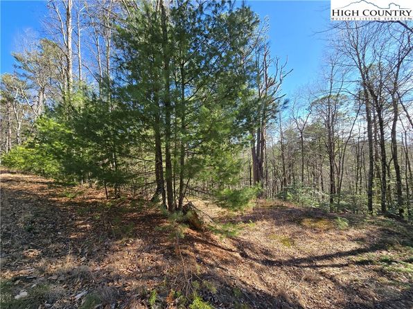TBD Timber Ridge Road, Millers Creek, NC 28651