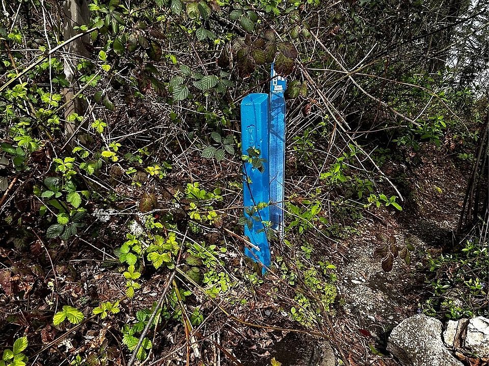 2nd image of 0 Adjacent to Baldwin Rd