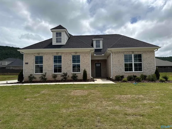8123 Goose Ridge Dr, Owens Cross Roads, AL 35763