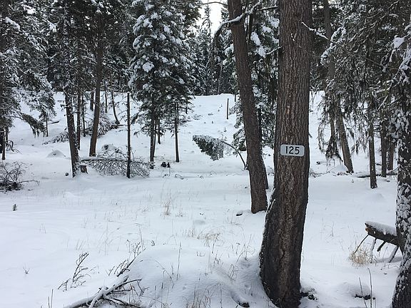 5th image of 125 Moose Ln