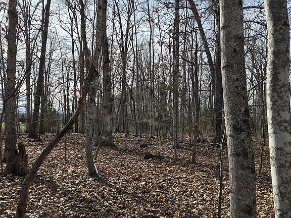 3rd image of Stoney Run Rd