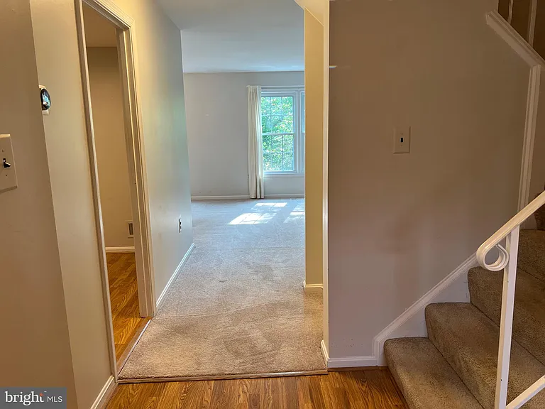 7384 Jiri Woods Ct — Photo 8