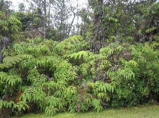 Pa Alii St LOT 1669, Volcano, HI 96785