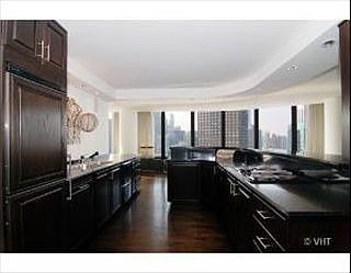 4th image of 505 N Lake Shore Dr APT 4611