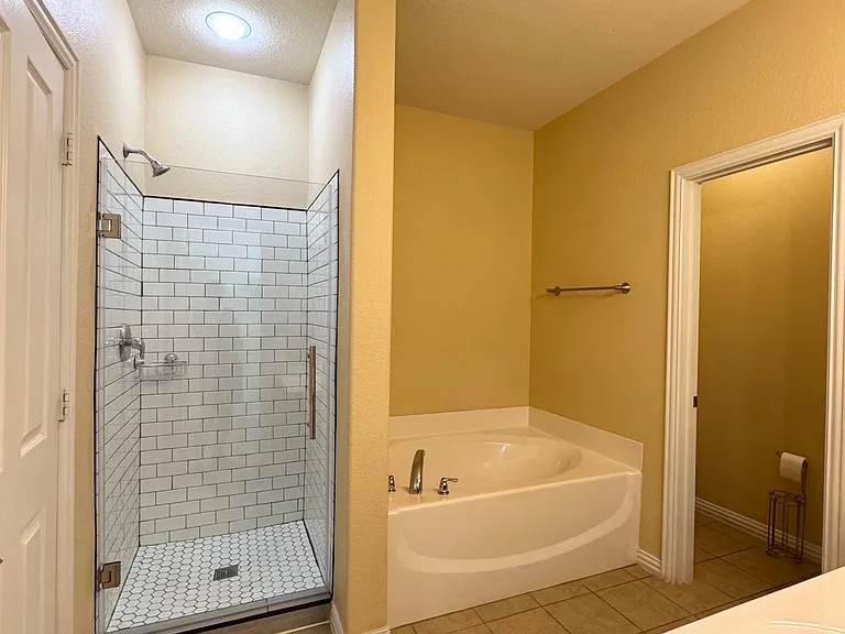 Master bathroom