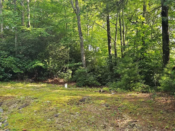 P2Lot5 Toxaway Drive, Lake Toxaway, NC 28747
