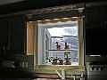 Plant window in kitchen