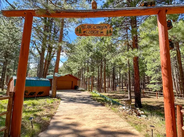 2499 CANYON Drive, Forest Lakes, AZ 85931