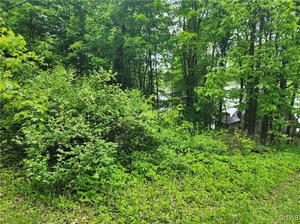 0 Owls Nest Dr #21, Theresa, NY 13691