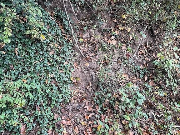 3rd image of 9529 Pedigo Rd