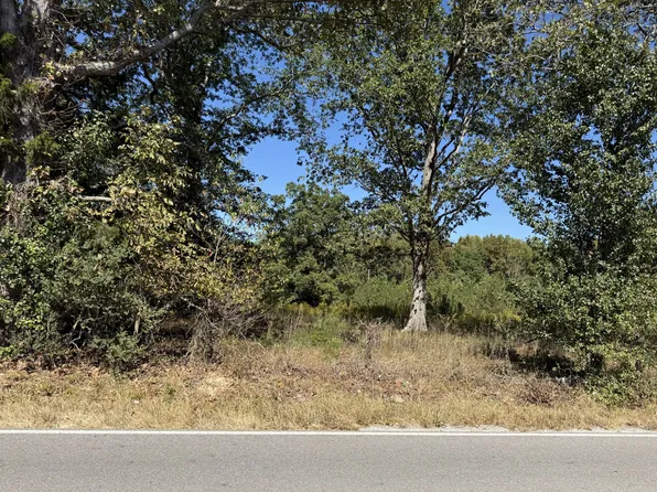 0 Old Florence Pulaski Rd Lot 1, Leoma, TN 38468