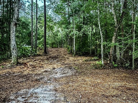 5th image of  County Road 232