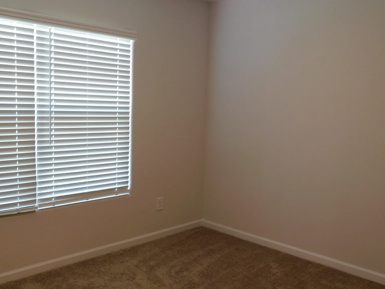 228 Sundew Road - 1 — Photo 2