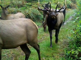 7520 SE Johannesen Rd, Corbett, OR 97019