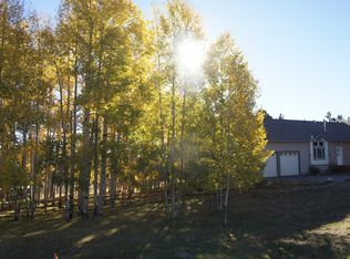 252 Burland Dr, Bailey, CO 80421