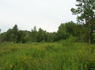 LOT 13 NW 28th Ln, Chiefland, FL 32626