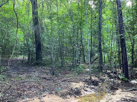 3rd image of Fm 3129