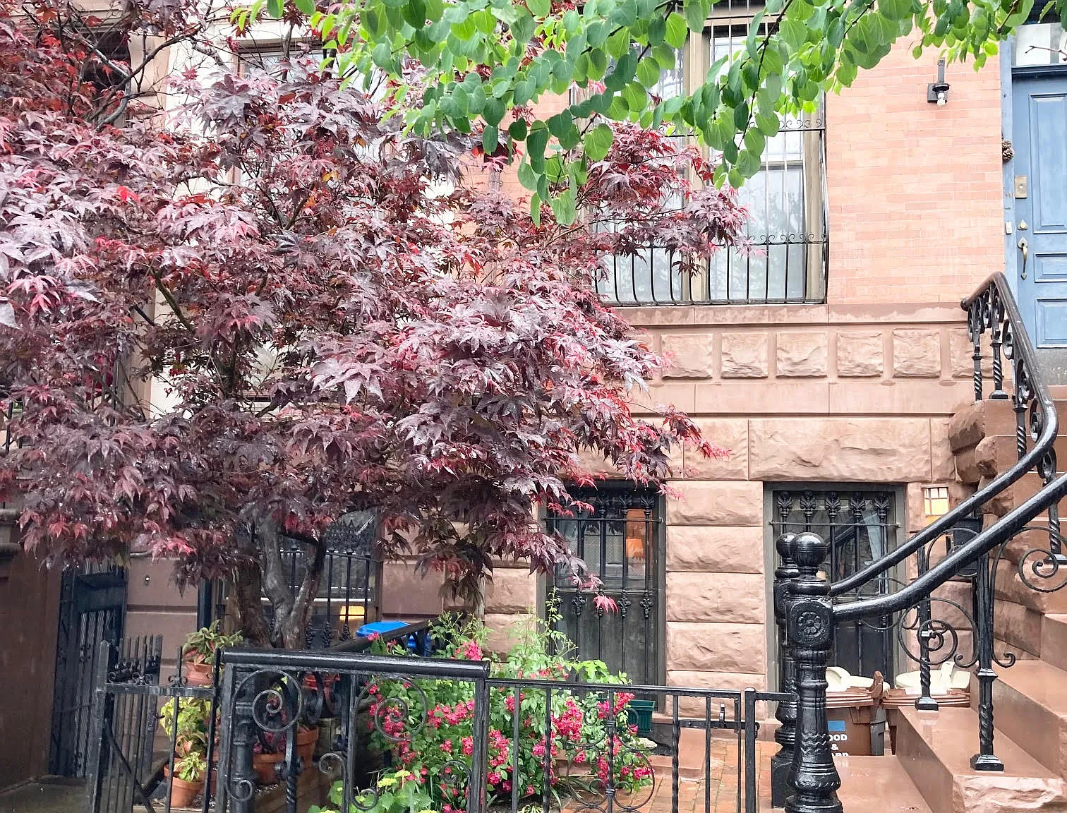 425 First Street — Photo 2
