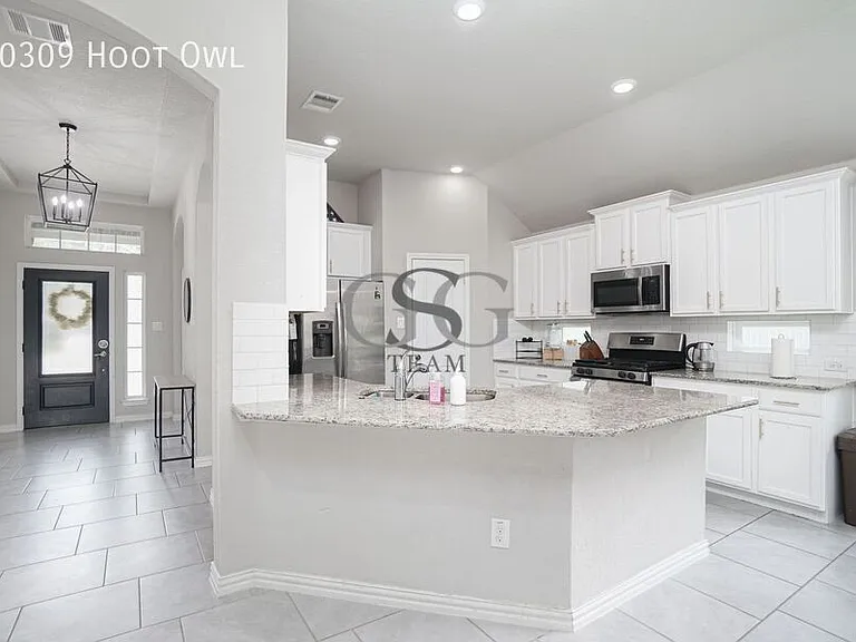 10309 Hoot Owl — Photo 10