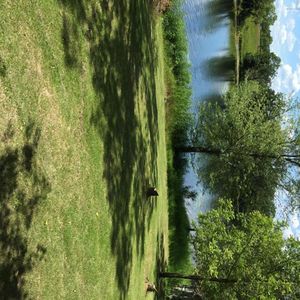 42005 Spitzer Lk, Clitherall, MN, 56524