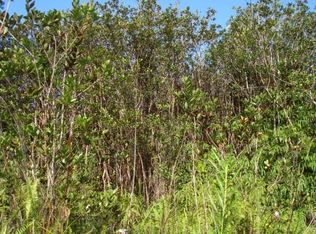 Uau Road Rd #5-LOT 4065, Mountain View, HI 96771