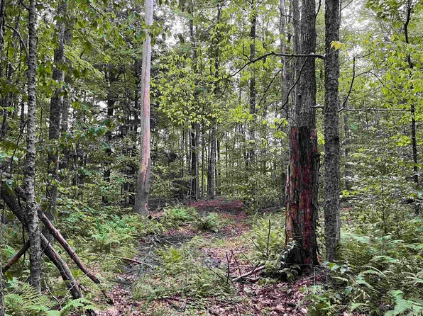 Lot E-2 Stratton Gate Road, Jamaica, VT 05343