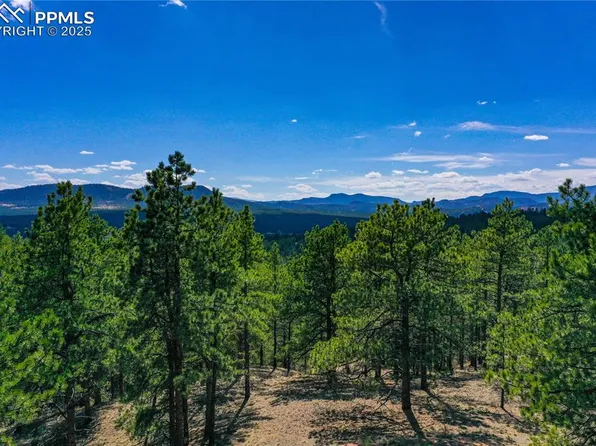 994 Pikes Peak Dr, Florissant, CO 80816