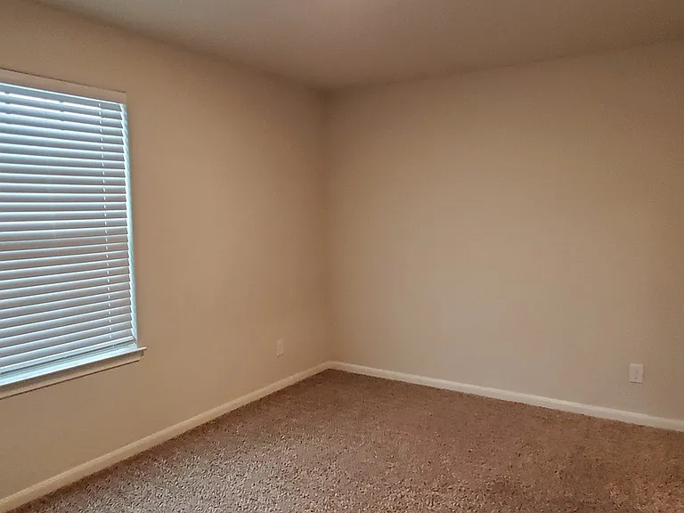 9206 Foxing Blf — Photo 9