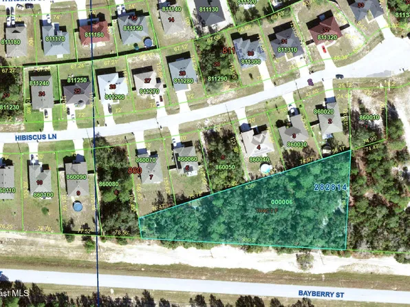 0 Bayberry St, Kissimmee, FL 34759