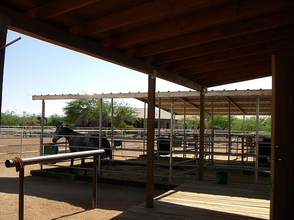 6 stalls for your horses
