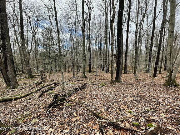 2nd image of 46 Tuscarora Trl