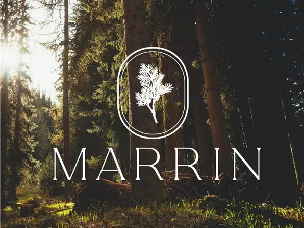 1123 Salt Creek Ln, Lewisville, NC 27023