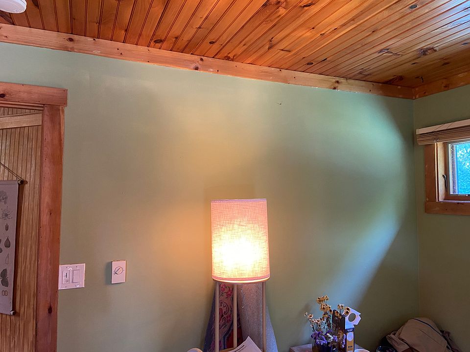 New Living Room Sage green paint