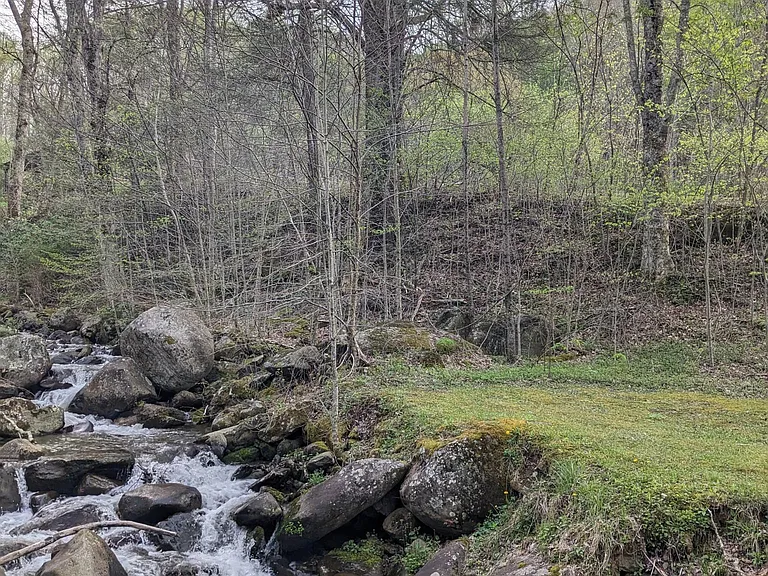 816 Heaton Creek Rd — Photo 55