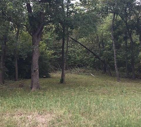 2nd image of 9349 Sagrada Park #12