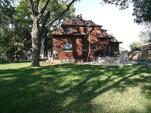 Wondeful Shade Trees!