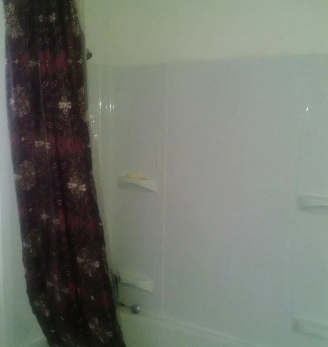 3 bed, 1344 sqft, $925 — Photo 4