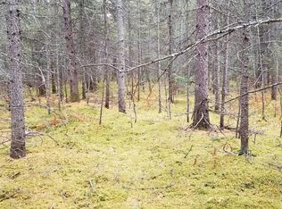 0 W 7 1/2 Mile Rd, Brimley, MI 49715