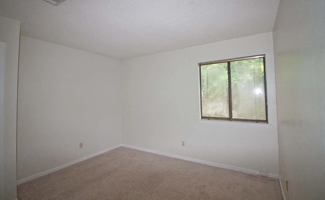2 bed, 1245 sqft, $1,600 — Photo 4