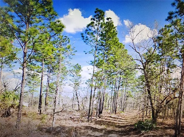 Dusky Sparrow Road # Lot 24, Weeki Wachee, FL 34614