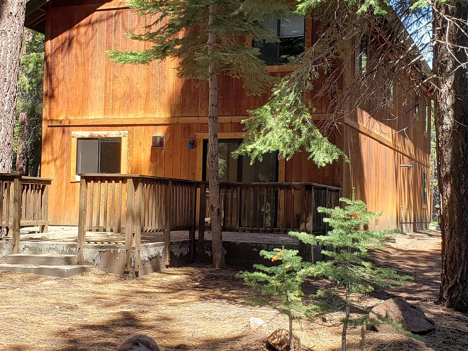3 bed, 1873 sqft, $3,950 — Photo 3