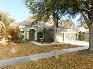 12902 Cattail Shore Ln, Riverview, FL 33579