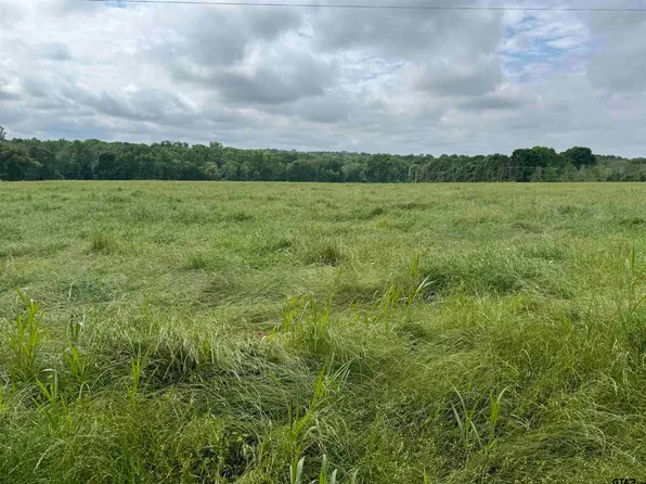 23687 County Road 181, Bullard, TX 75757