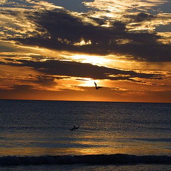 Breathtaking sunsets await you