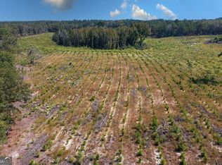 0 Double Pond Rd, Blackville, SC 29817