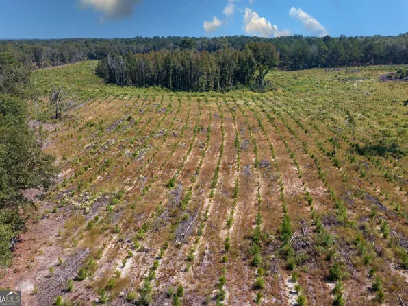 0 Double Pond Rd, Blackville, SC 29817