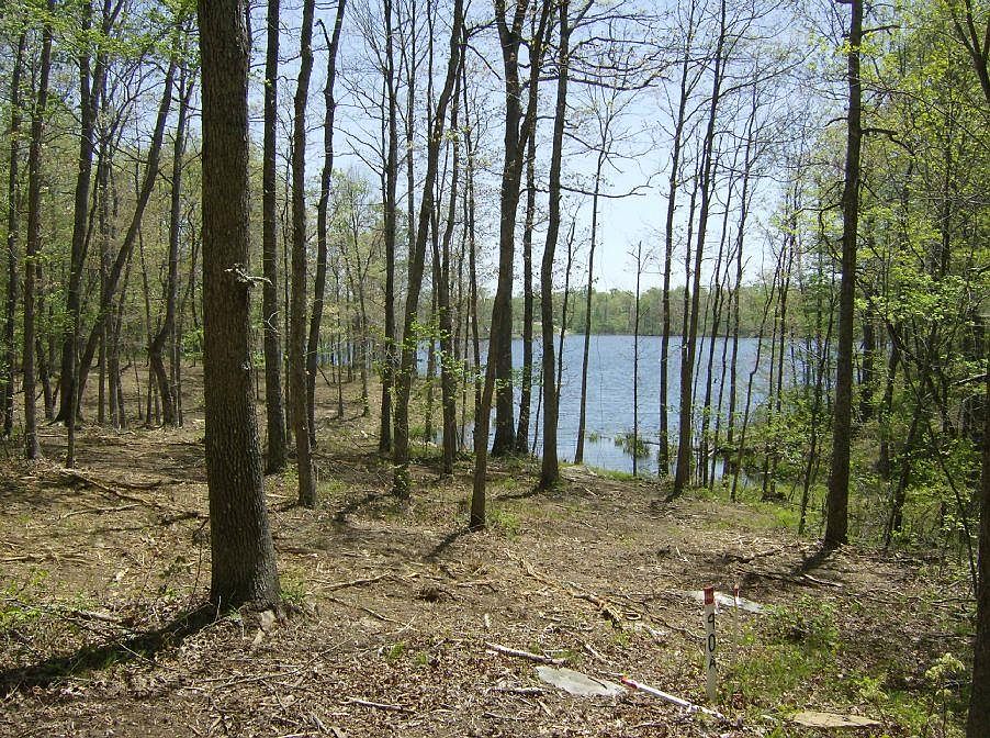 1st image of 503 Holly Ln
