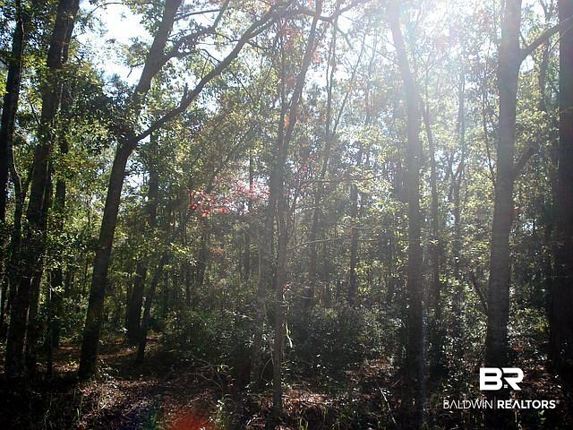 2nd image of 10520 County Road 1