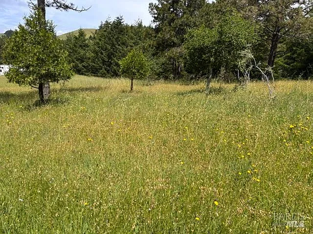 1187 Tannery Creek Road - Photo 9