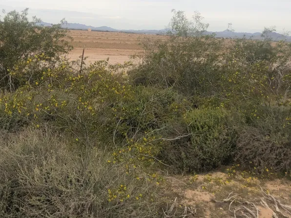 6205 N 379 Avenue #47, Tonopah, AZ 85354